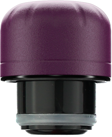 Accessories: Matte Purple Lid