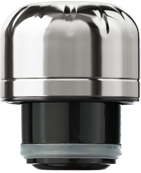 Lid: Chrome Silver
