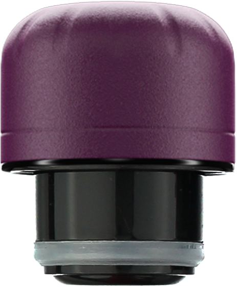 Lid: Matte Purple